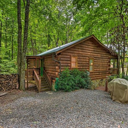 Pinot And Pine Chic Log Cabin About 5 Mi To Blue Ridge Villa Bagian luar foto